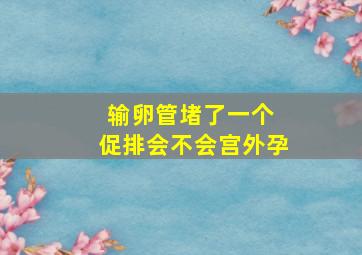 输卵管堵了一个 促排会不会宫外孕